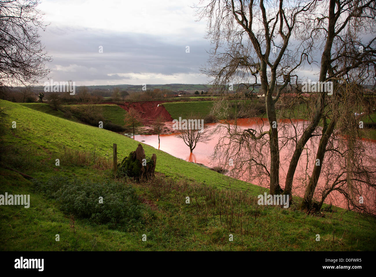 Halberton, Tiverton, Devon, UK. 25. November 2012. Der Bruch in den Western Canal durch starke Regenfälle verursacht. Stockfoto