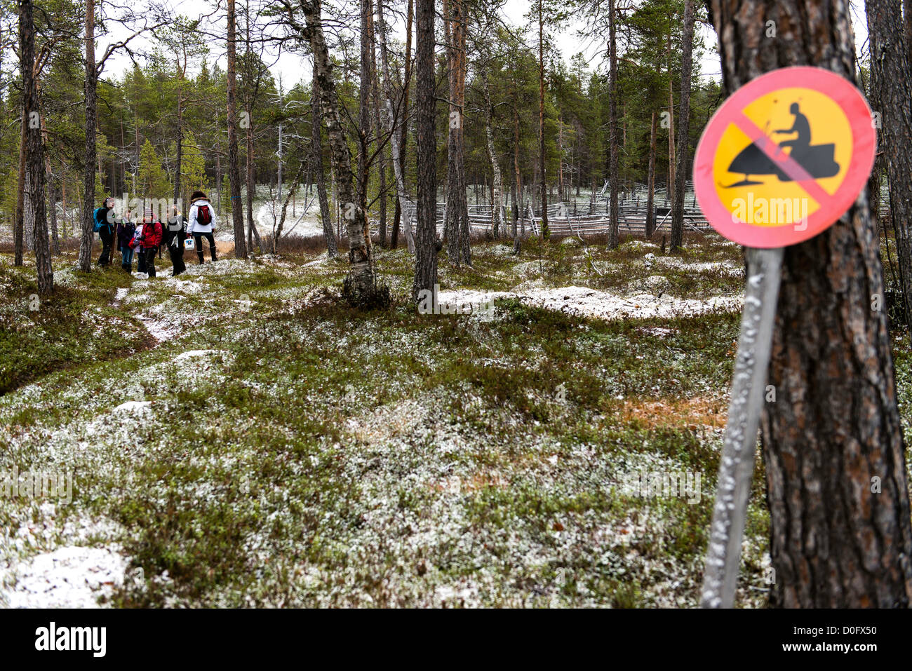 Menschen wandern in Lappland-Nord-Finnland-Skandinavien Stockfoto