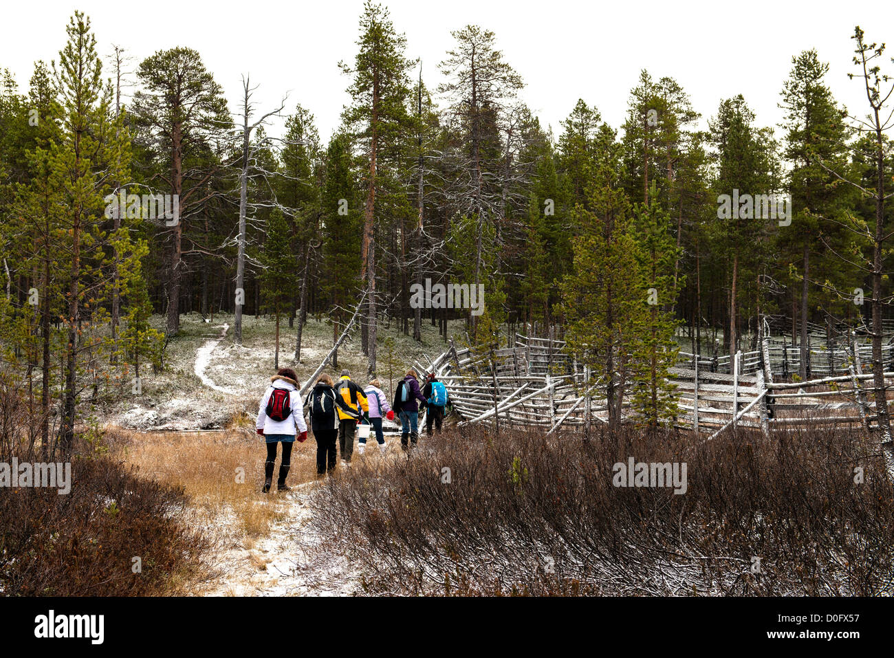 Menschen wandern in Lappland-Nord-Finnland-Skandinavien Stockfoto