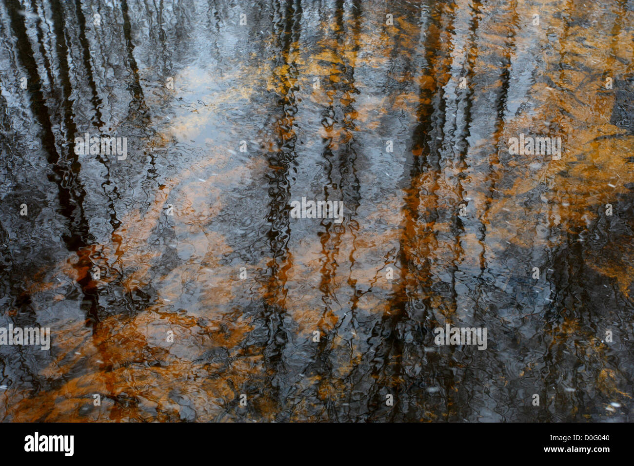 Quellwasser und Reflexion von Bäumen. Stockfoto