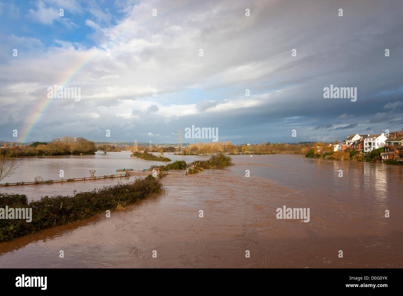 Exeter, UK. 25. November 2012. Fluß Exe Country Park unter schlammigen Hochwasser nach Starkregen in Devon letzte Nacht. Stockfoto