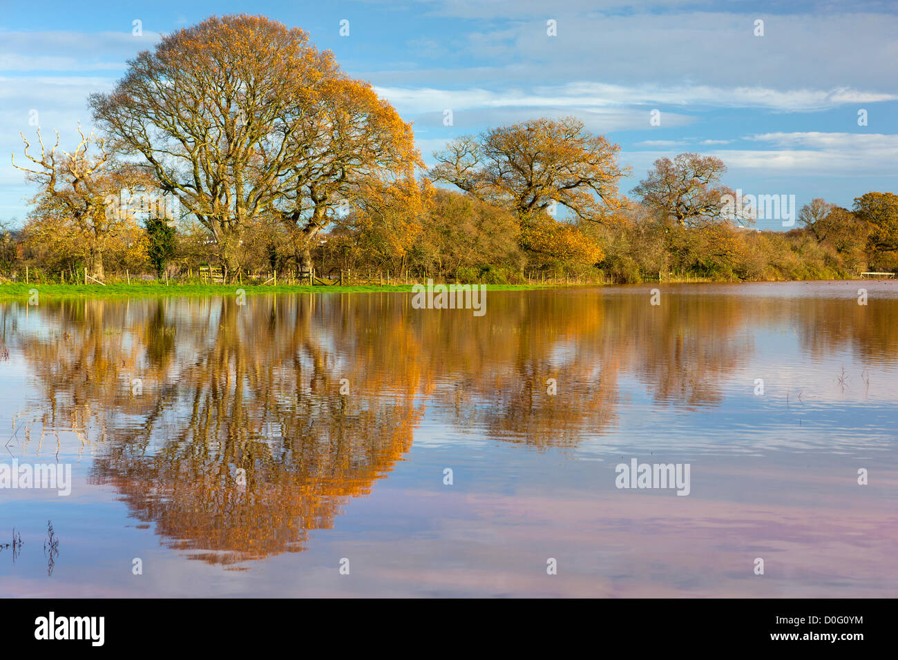 Exeter, UK. 25. November 2012. Überschwemmten Wiesen durch den Fluss Exe in das Exe-Tal nach Starkregen in Devon letzte Nacht. Stockfoto