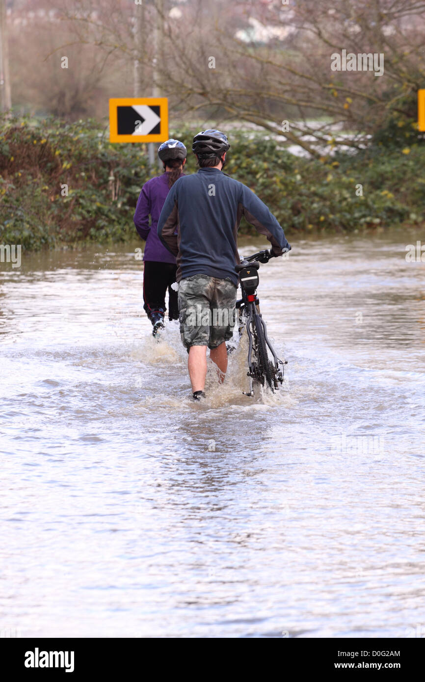 Straße, Somerset, England, UK - November 2012. Radfahrer-Kampf durch die Nebenstraßen zwischen Glastonbury und Straße in der Nähe der Fluss Brue nach Überschwemmungen Stockfoto