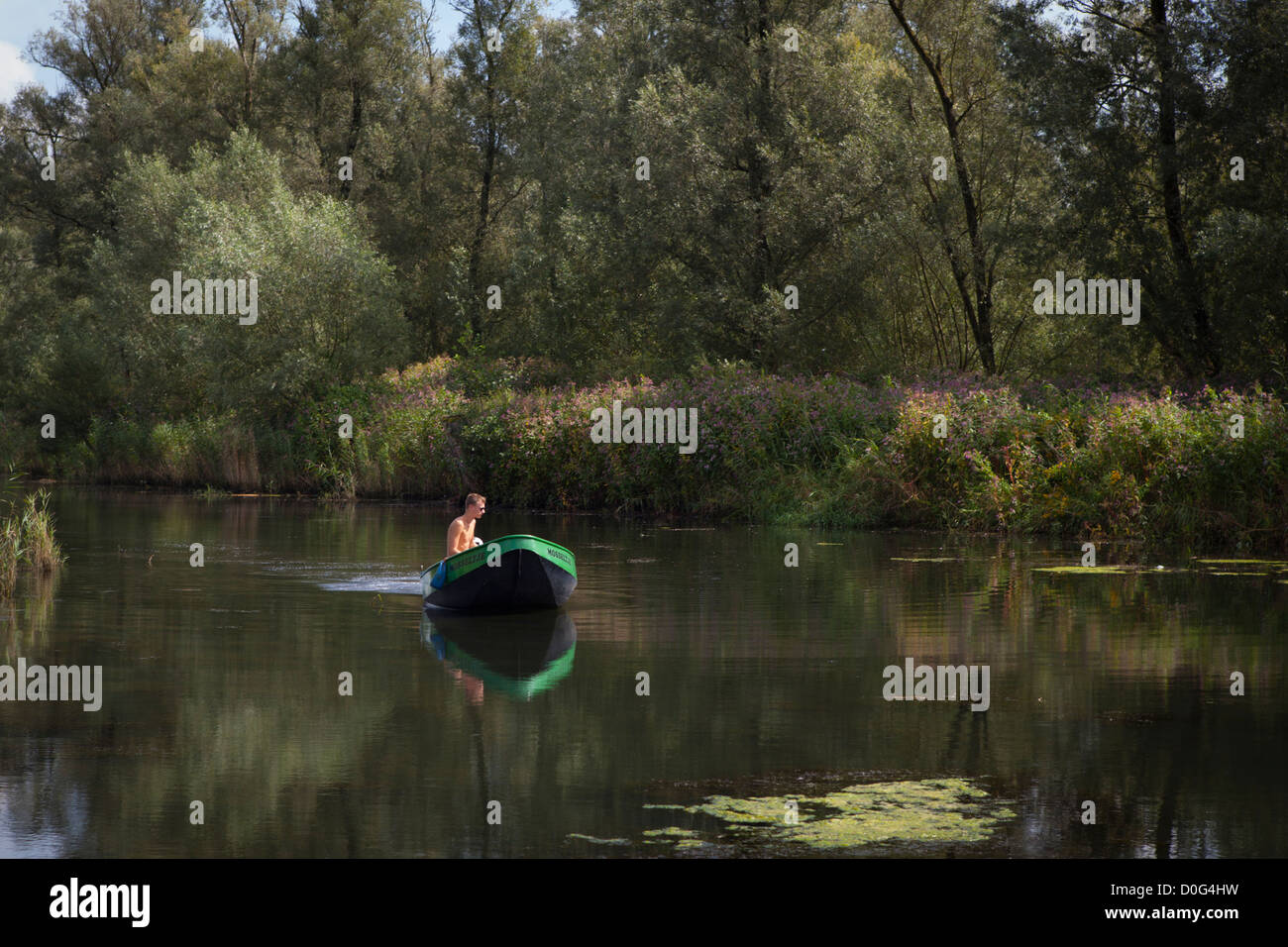 Junger Mann segeln kleines Motorboot in Nationalpark Biesbosch in den Niederlanden, Natura 2000 Feuchtgebiete in Europa Stockfoto