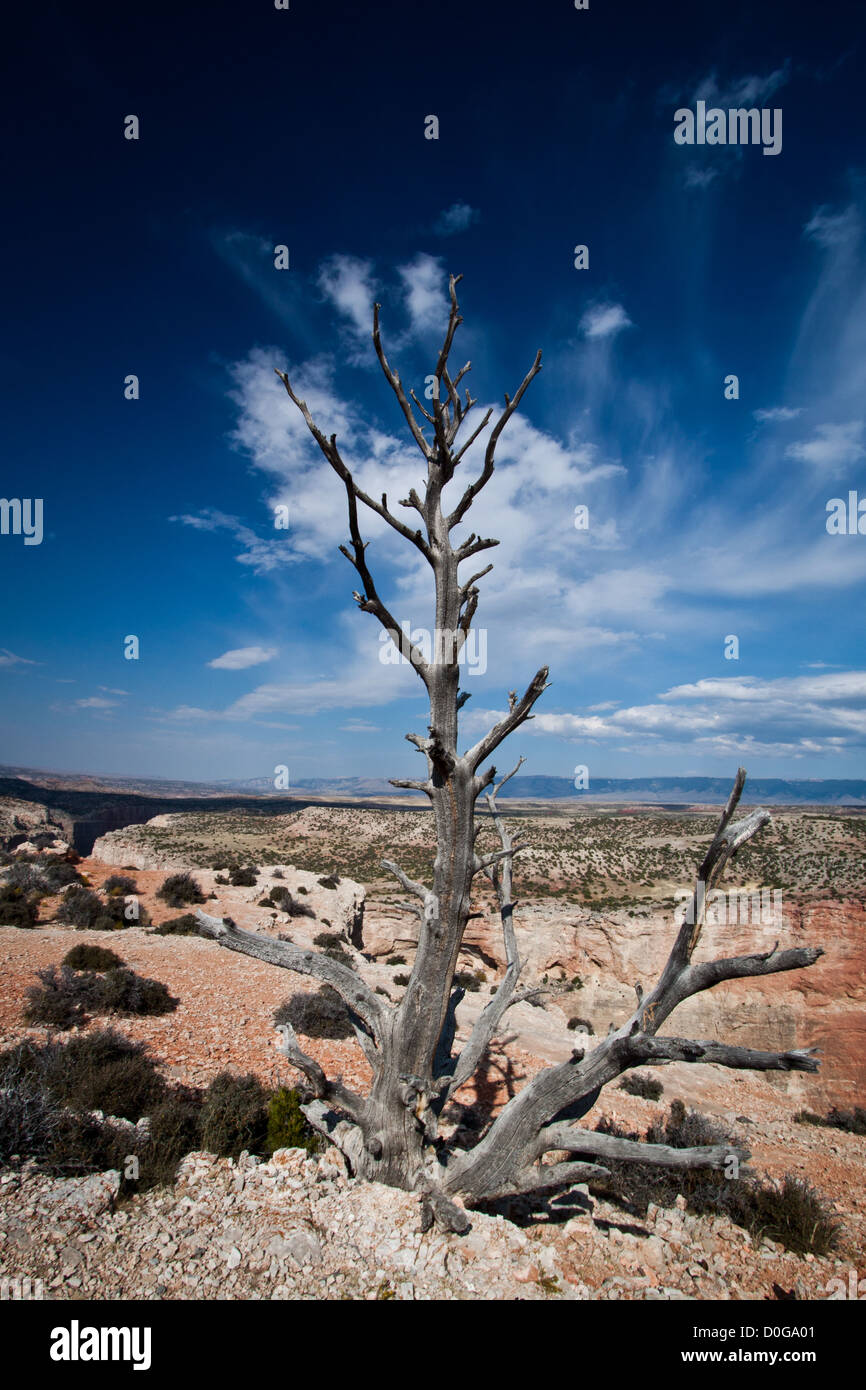 Bighorn Canyon, Montana/Wyoming. Stockfoto