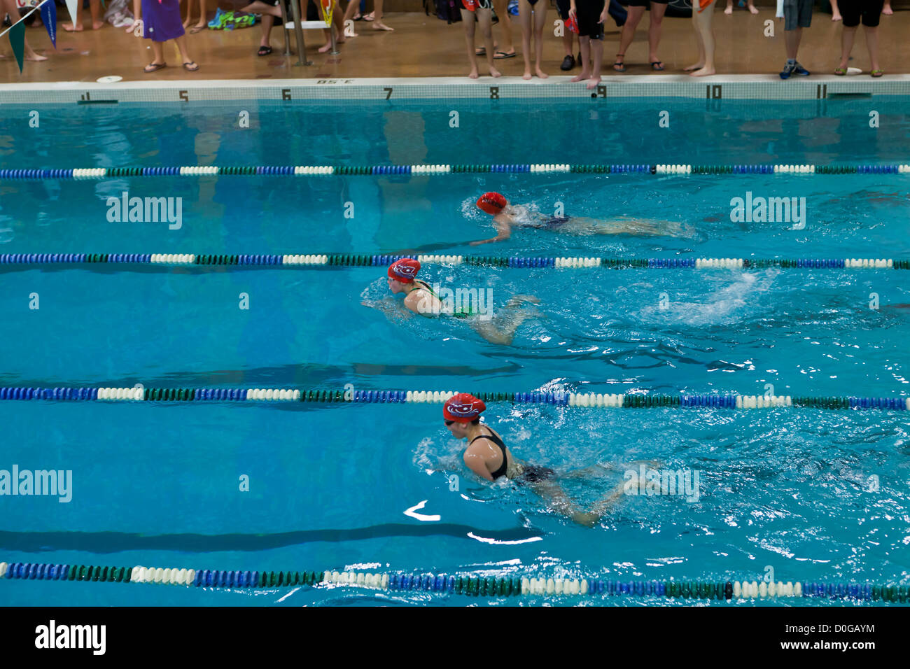 Schwimmen-Wettbewerb Stockfoto