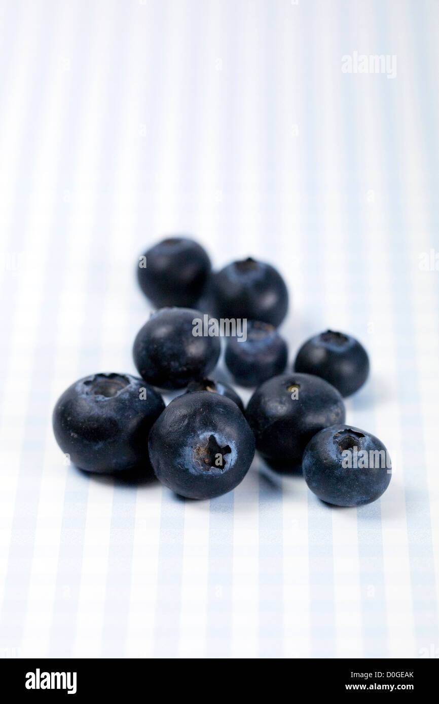 Vaccinium Corymbosum. Heidelbeeren auf einem blassen blauen und weißen aufgegebenes Hintergrund. Stockfoto