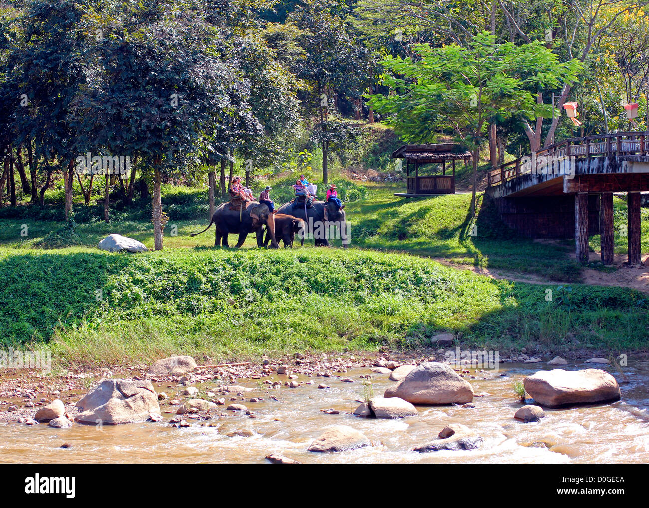 Mae Taeng River Adventures Stockfoto