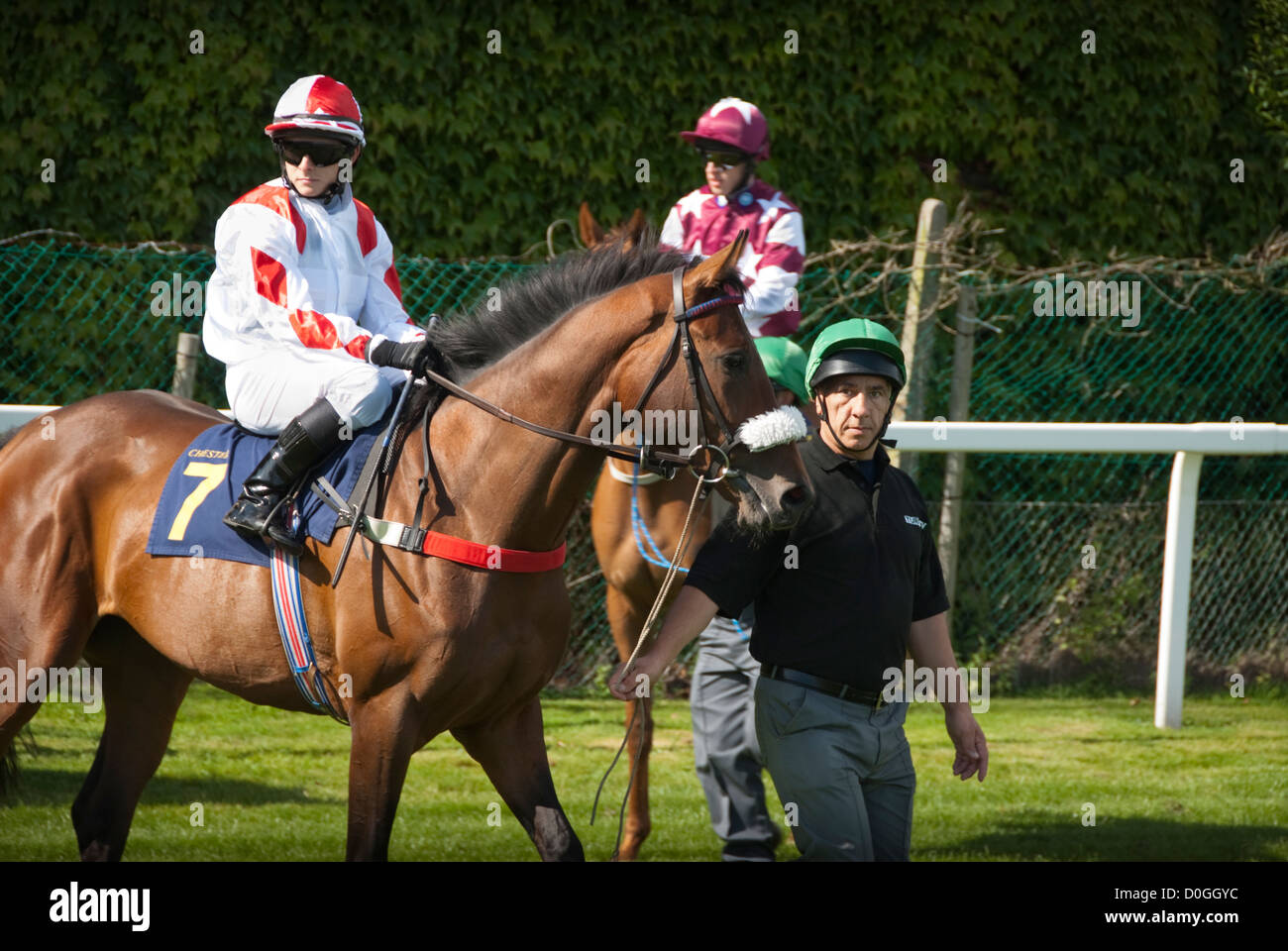Chester Racecourse, bekannt als Roodee, der älteste Golfplatz für Pferd Rennen Rennen Rennen Kurs Pferdesport Stockfoto