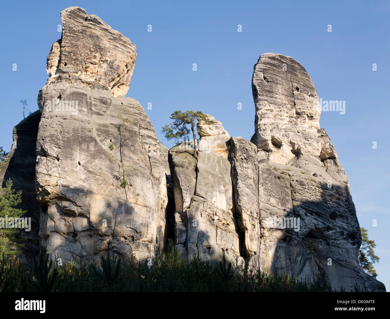 Felsen im Böhmischen Paradies Stockfoto