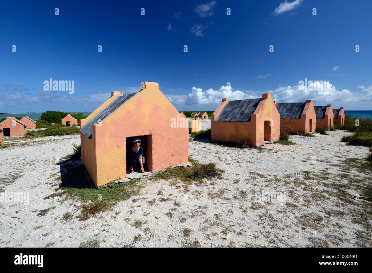 Rote Sklave, Bonaire, Niederländische Antillen, Caribbean Stockfoto