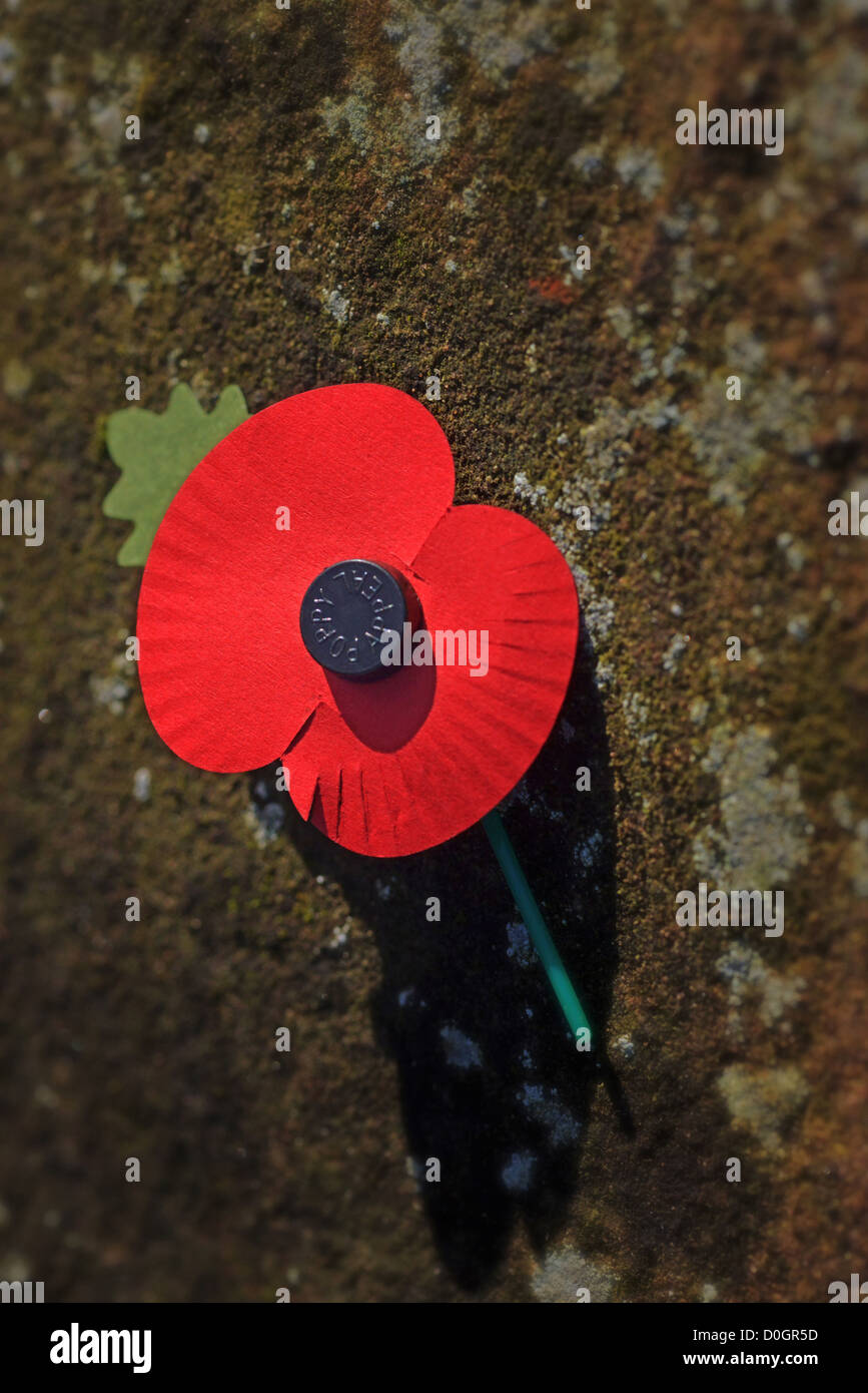 Mohn Mohn Tag für Earl Haig Fonds Sonntag, 11. November 2012 Stockfoto