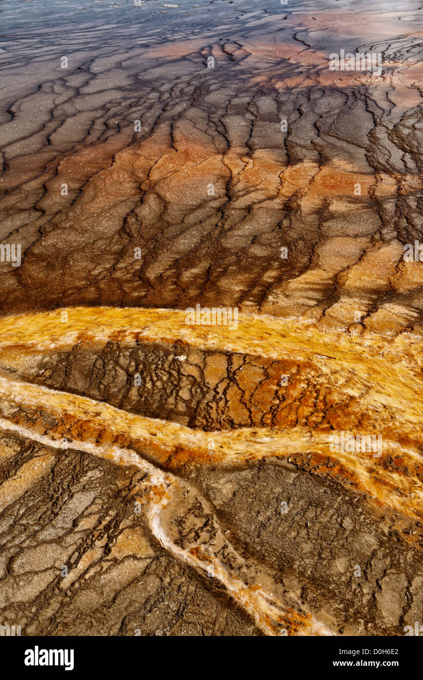Bakterienmatte - Midway Geysir Basin Stockfoto