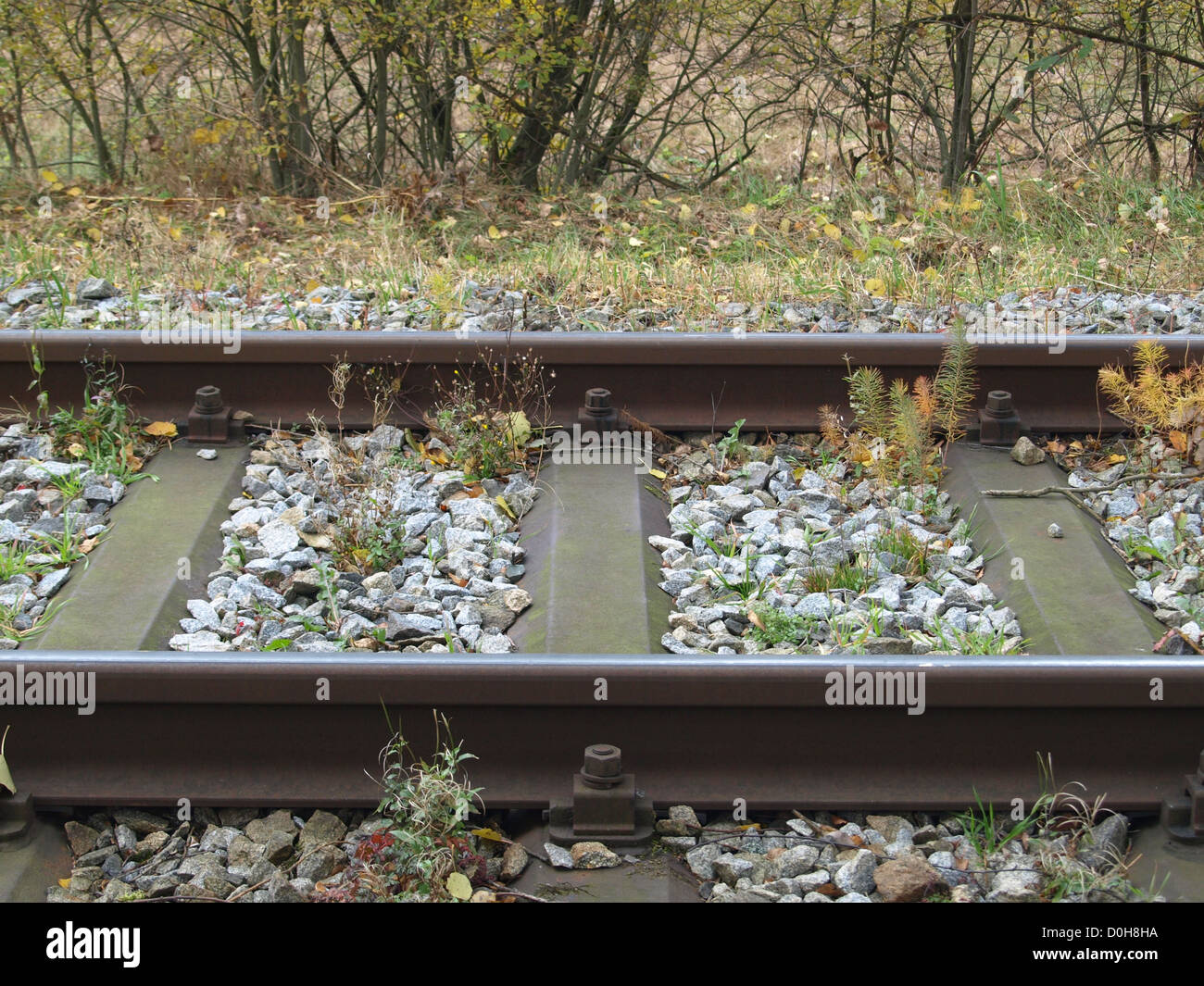 Eisenbahnlinien / Eisenbahnschienen Stockfotografie - Alamy
