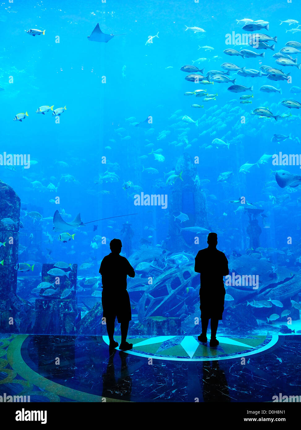 Großes Aquarium - Menschen Silhouette Blick auf die erstaunliche Fische Stockfoto