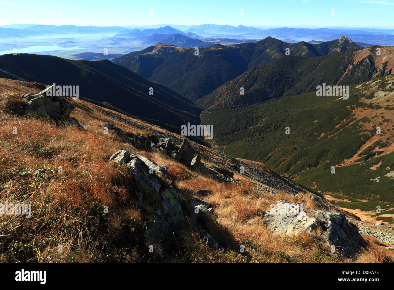 Blick auf Jalovska Dolina von Prislop, Zapadne Tatry - Rohace. Stockfoto