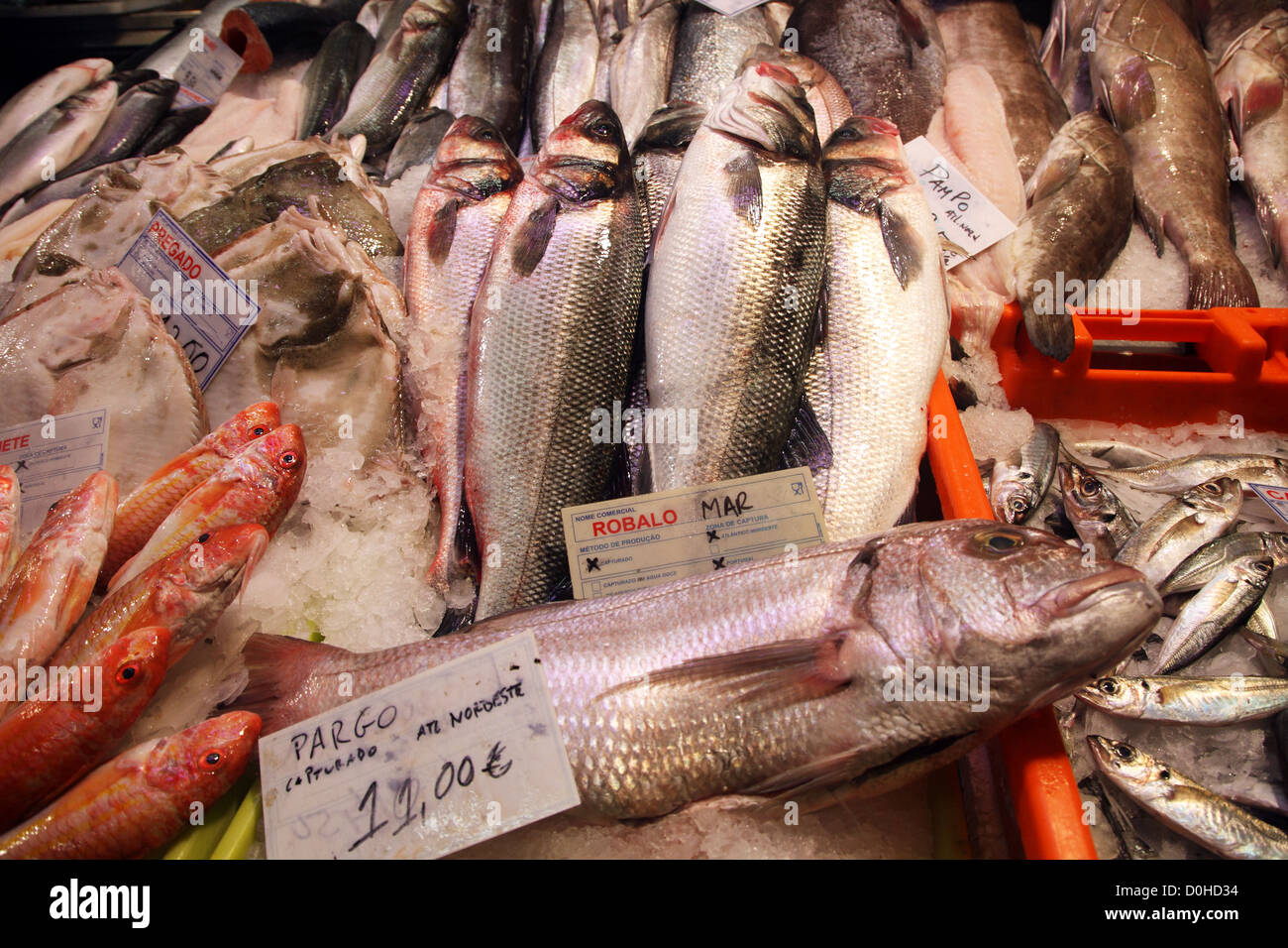 Atlantik Fisch zum Verkauf in Lissabon Fischmarkt Stockfoto
