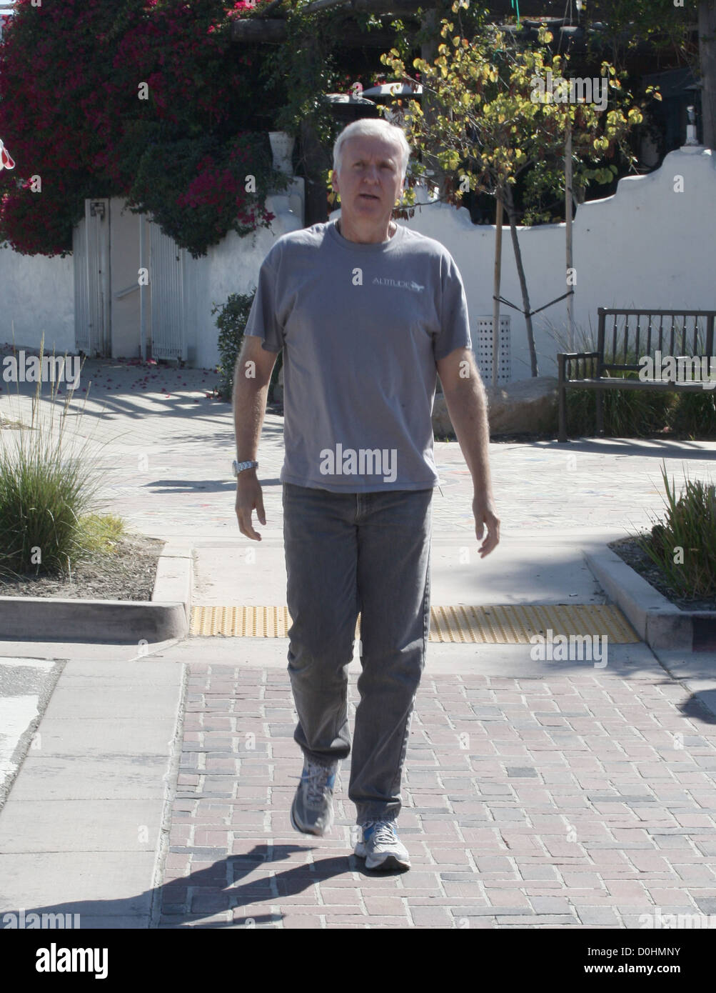 James Cameron ist gesehen verlassen Malibu Country Mart nach dem Mittagessen mit einem Freund Malibu, Kalifornien - 25.09.10 Stockfoto