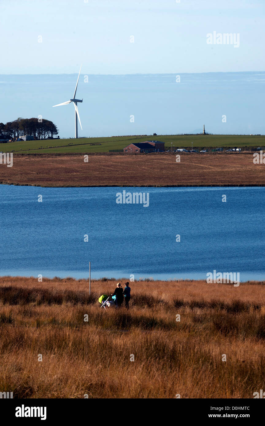 Wind Turbine Windpark Whitelee Schottland macht Strom erneuerbare Umgebung klingen Eco Energieökologie grün Stockfoto