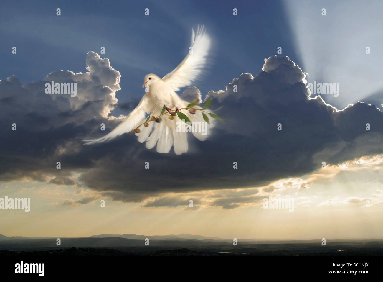 Palästina-Armband Mit Taube & Olivenzweig - Personalisierbarer Kulturschmuck Aus Edelstahl