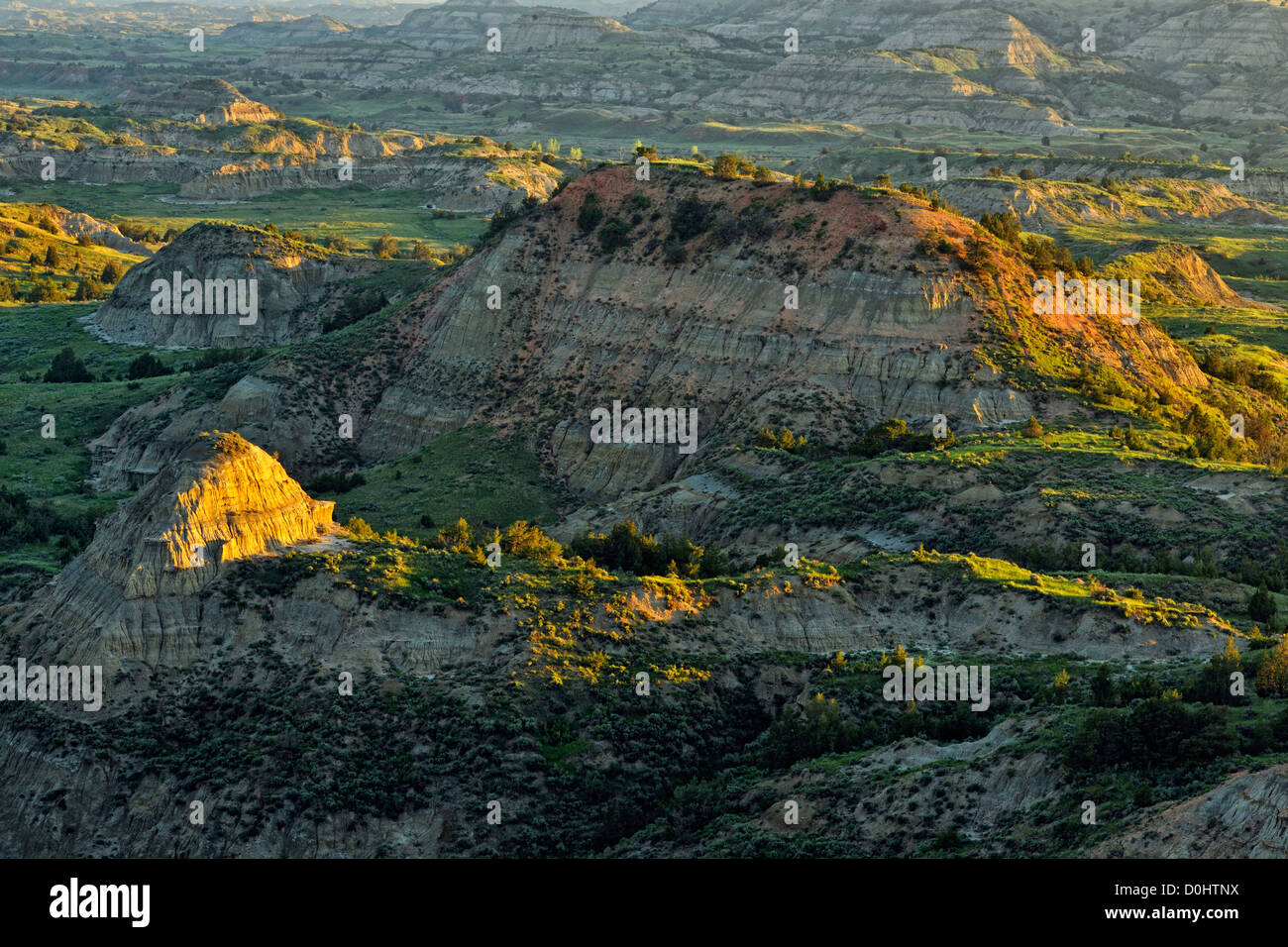 Malte Hügel übersehen, Theodore Roosevelt NP (South Unit), North Dakota, USA Stockfoto