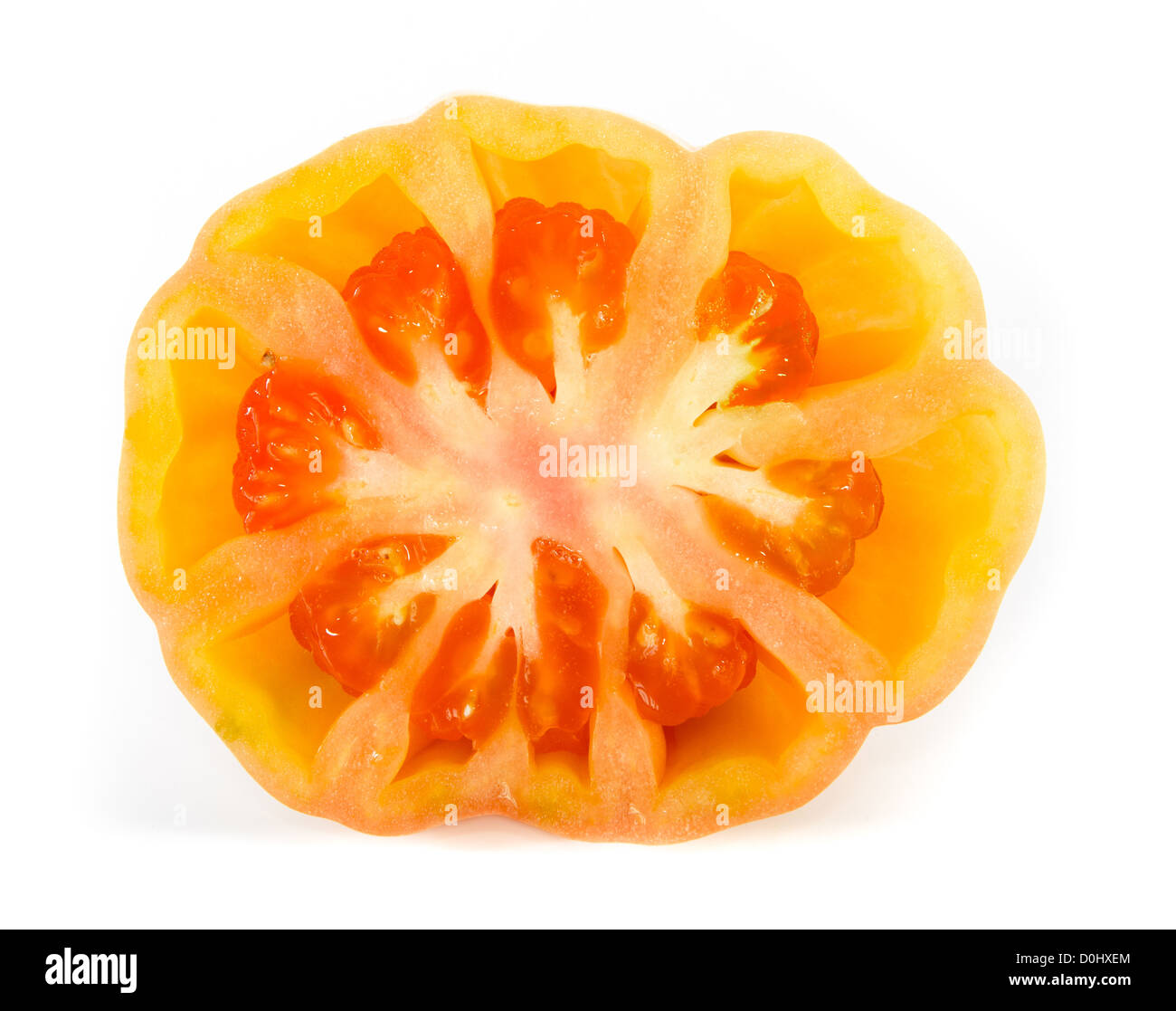 Eine Hälfte von einem saftigen Tomatenscheiben auf weißen Hintergrund Stockfoto