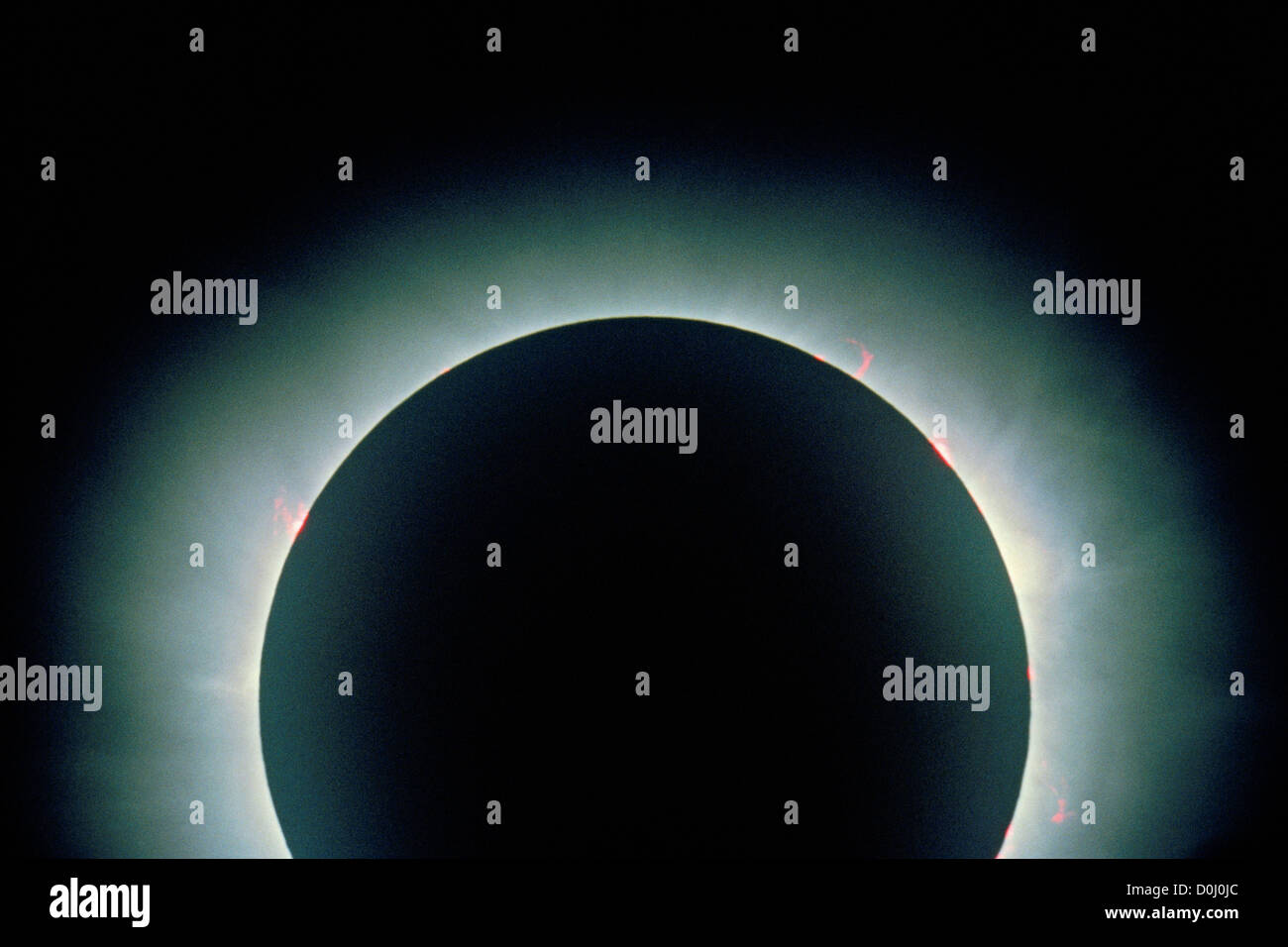 Solar Protuberanzen während Eclipse Stockfoto