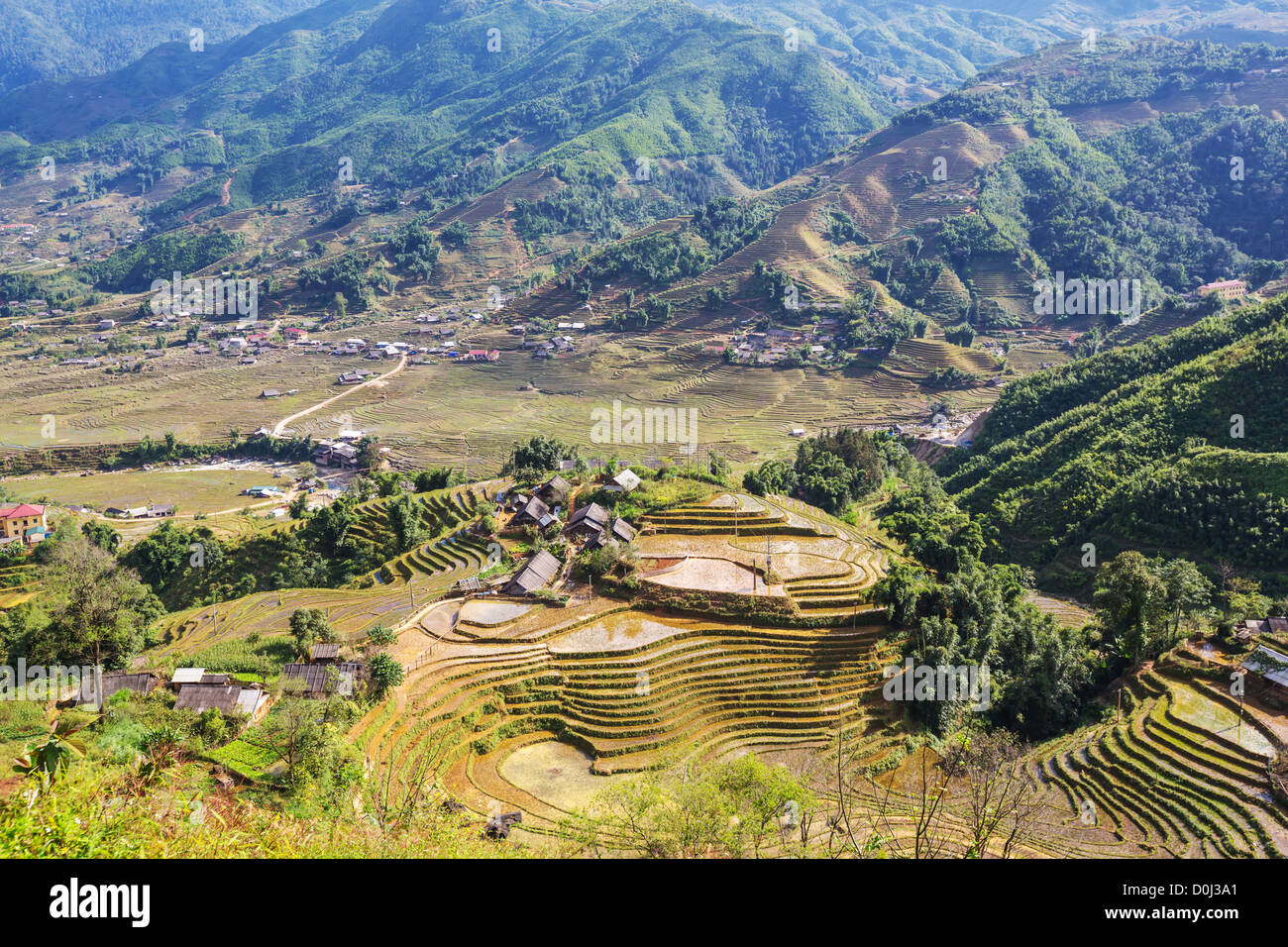 Reis-Terrassen im Norden von Vietnam, Sapa Stockfoto