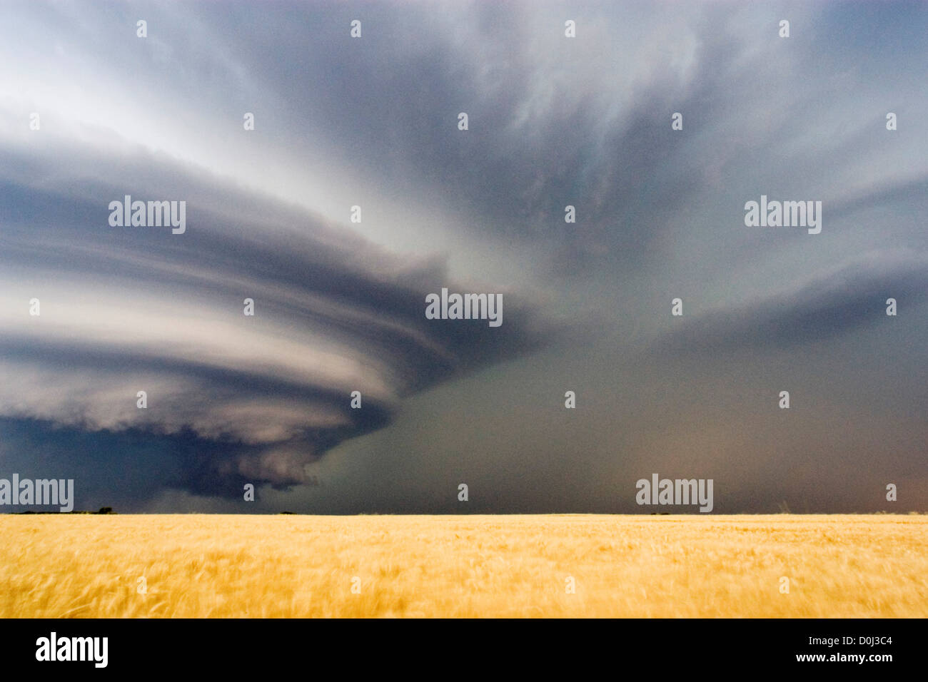 Eine Superzelle Gewitter drohend über ländlichen Kansas Stockfoto