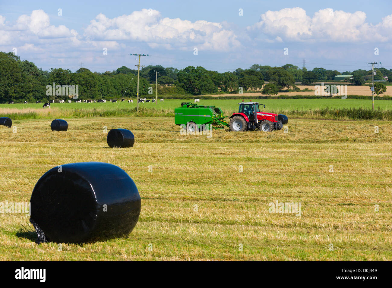 Traktor im Feld die Heuballen Stockfoto