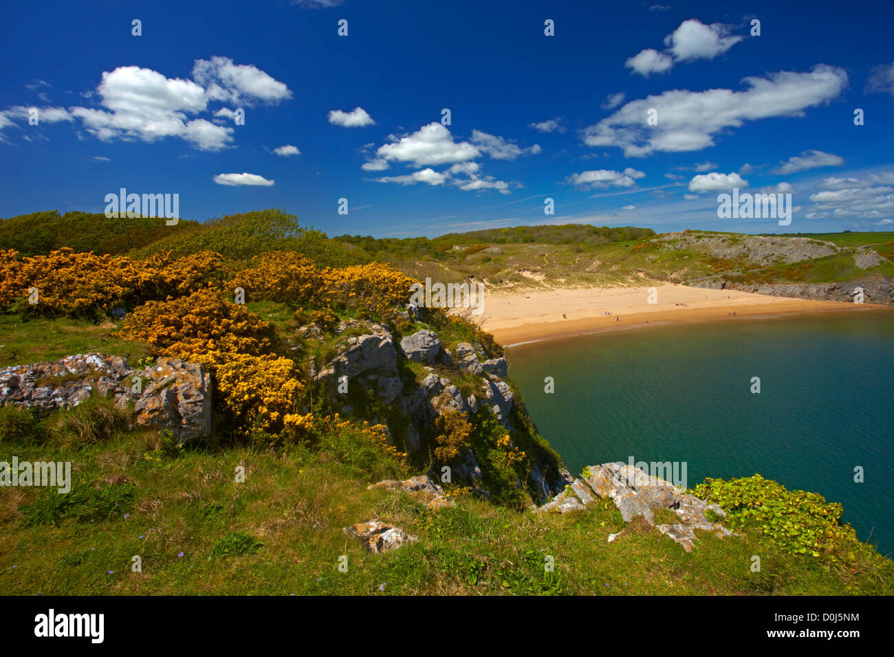 Blick über Barafundle Bay gilt als einer der Top ten Strände Großbritanniens haben. Stockfoto