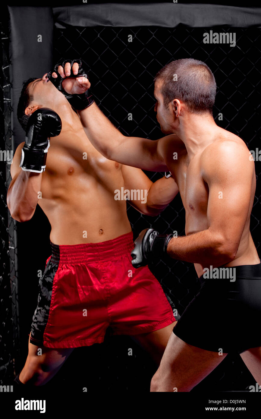 Mixed martial Künstler kämpfen - Stanzen Stockfoto