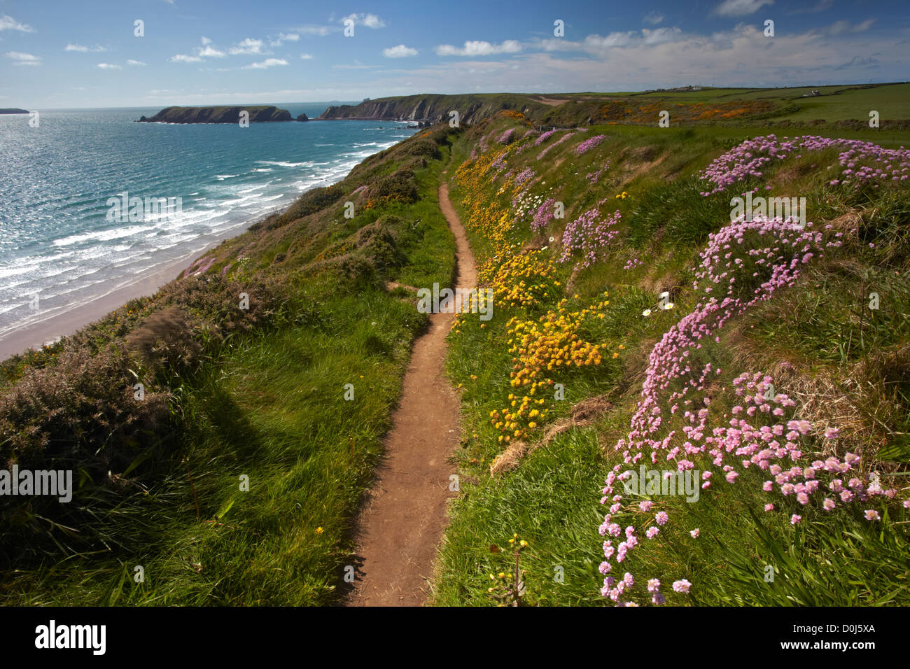 Pembrokeshire Küstenweg über Marloes Strand. Stockfoto