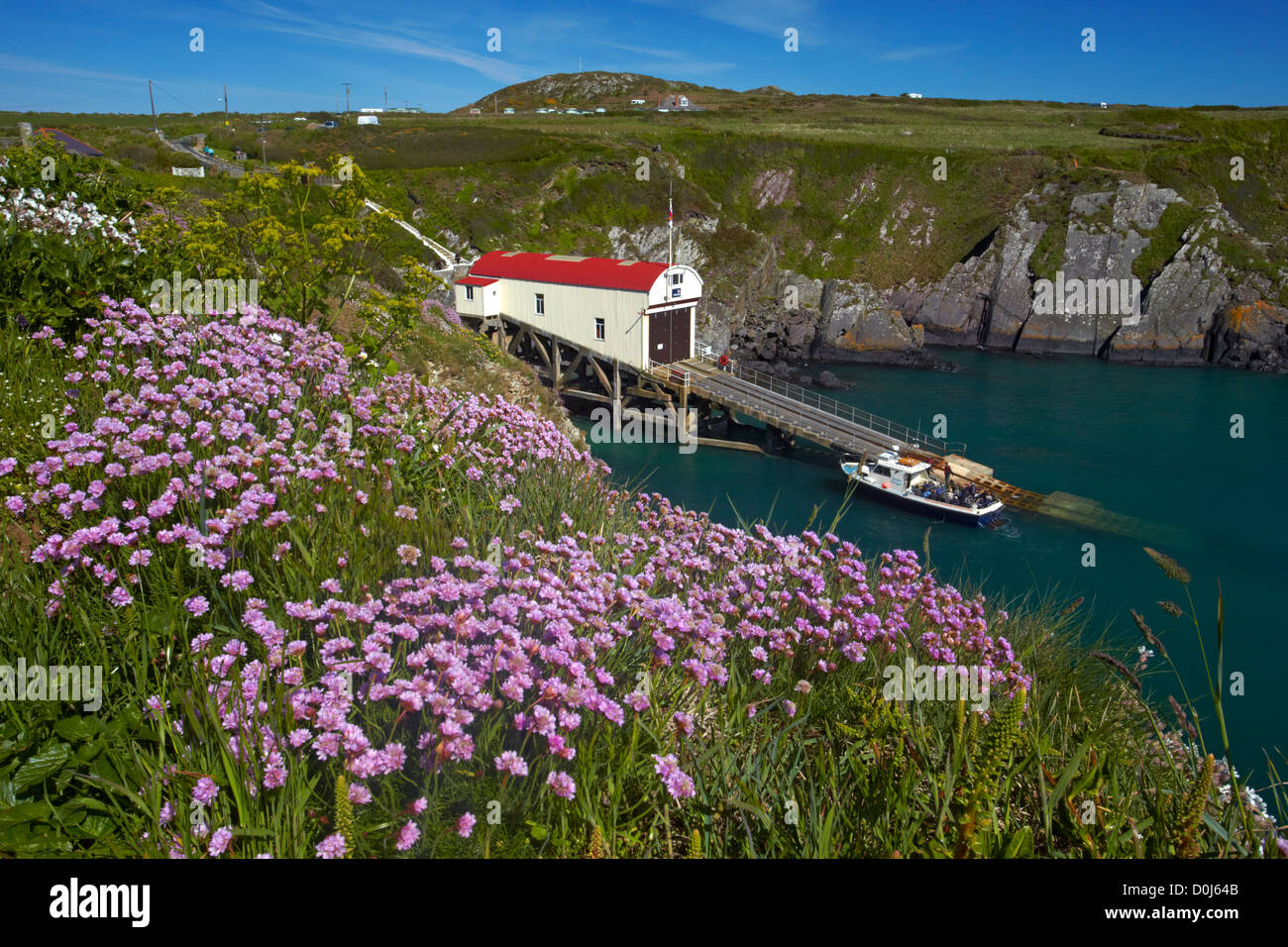 Ein Boot mit Touristen kommt zurück auf die Rettungsstation am St Justinian nach Ramsey Island zu besuchen. Stockfoto