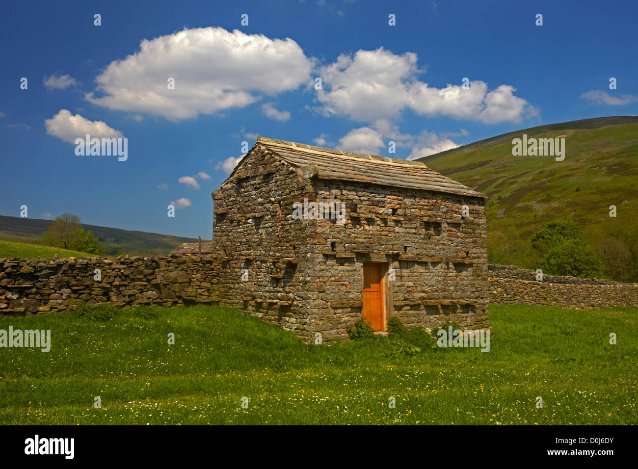 Eine steinerne Scheune verwendet für die Lagerung von Heu für Winterfutter für das Vieh im Swaledale verwendet werden. Stockfoto