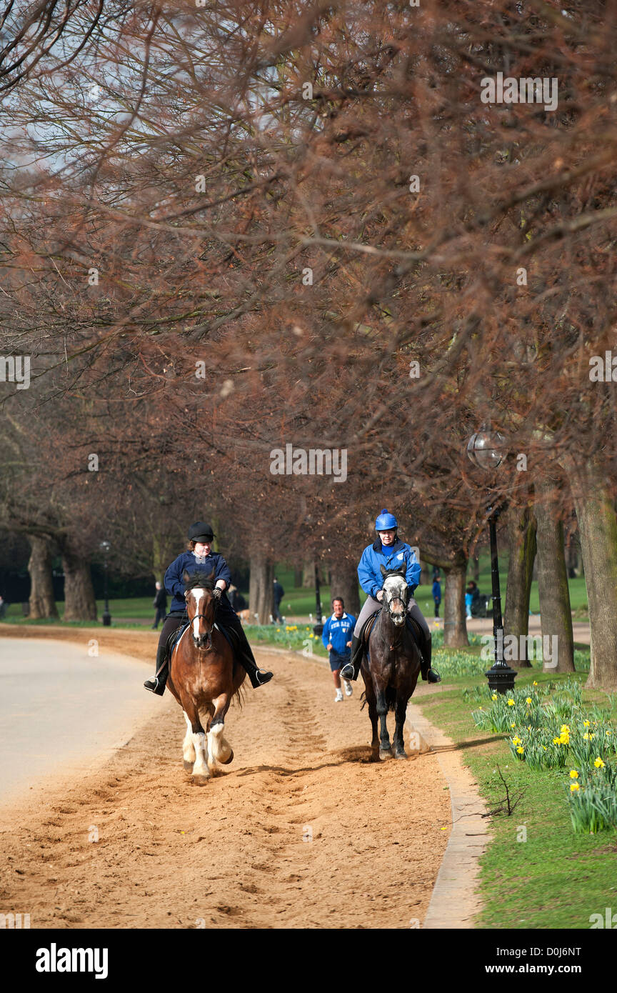 Reiten im Hyde Park in London. Stockfoto