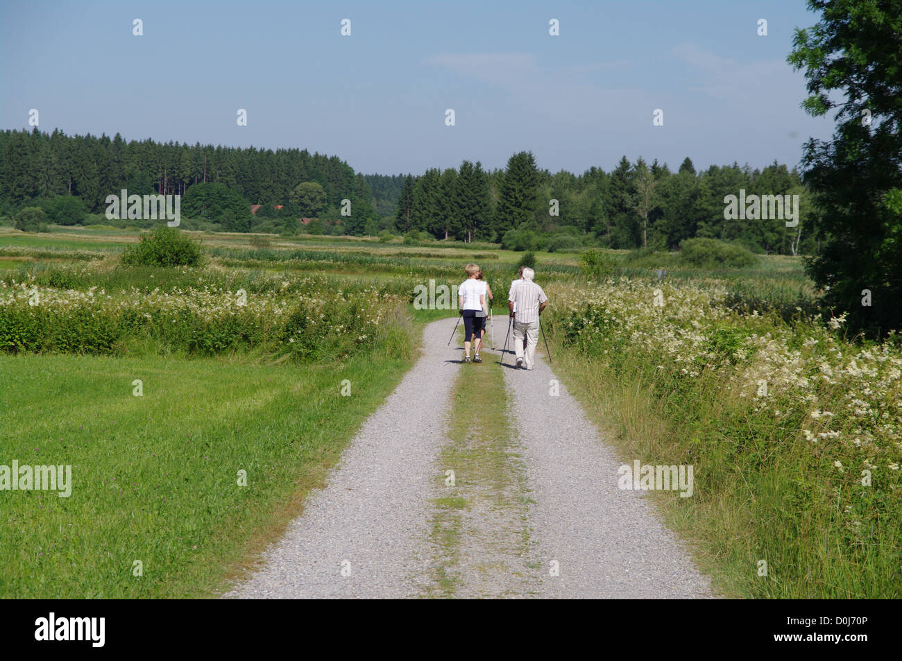 Nordic-walking-jung und alt zusammen Stockfoto