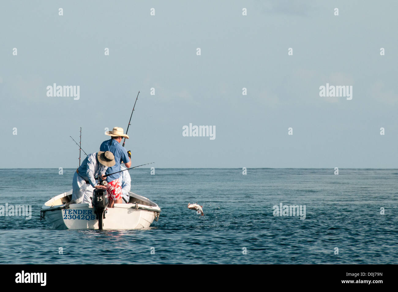 Drei Fischer in einem kleinen Schlauchboot fangen einen Fisch auf Swains Riff am südlichen Ende des Great Barrier Reefs, zentrale Küste Queenslands. Stockfoto