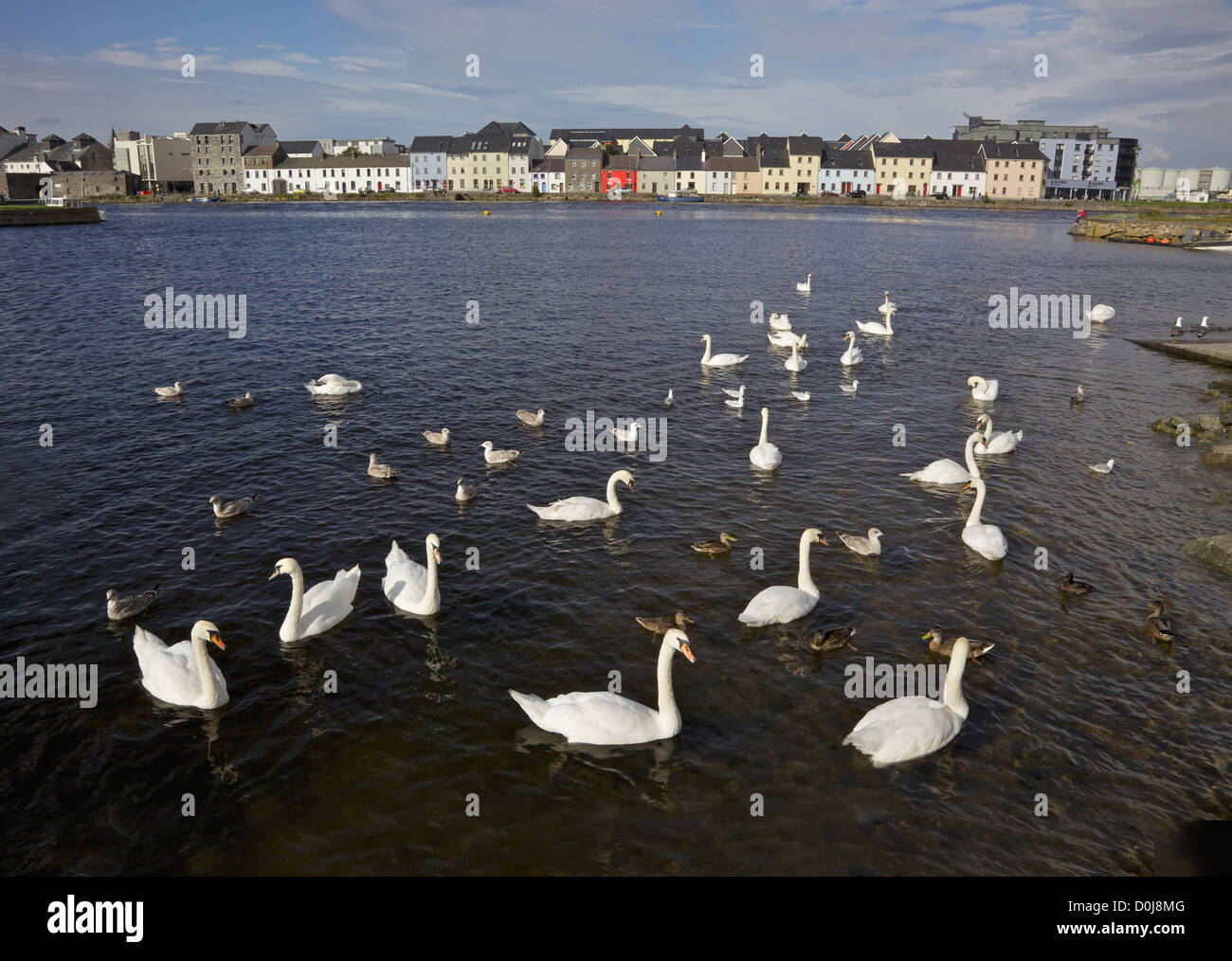 Blick vom Claddagh Bassin, über den Fluss Corrib auf den langen Weg in Galway, Irland. Stockfoto