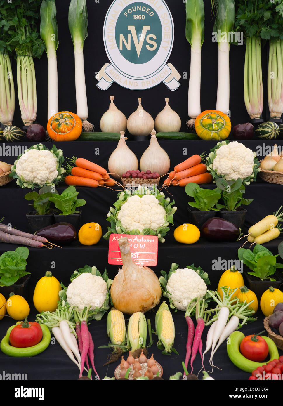 Erster Preis in der Kategorie Gemüse anzeigen am Malvern Herbstshow. Stockfoto