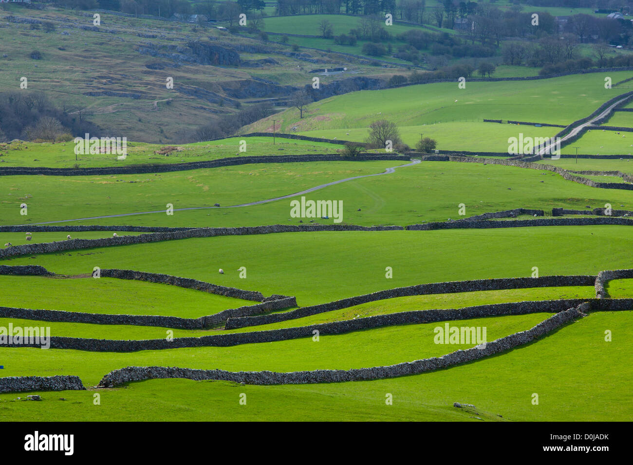 Blick hinunter auf traditionellen Trockenmauern und Felder in der Nähe von Ingleton. Stockfoto