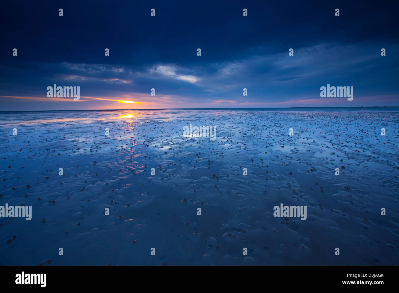 Die Blautöne des morgens am Strand von Goswell Sand reflektiert. Stockfoto