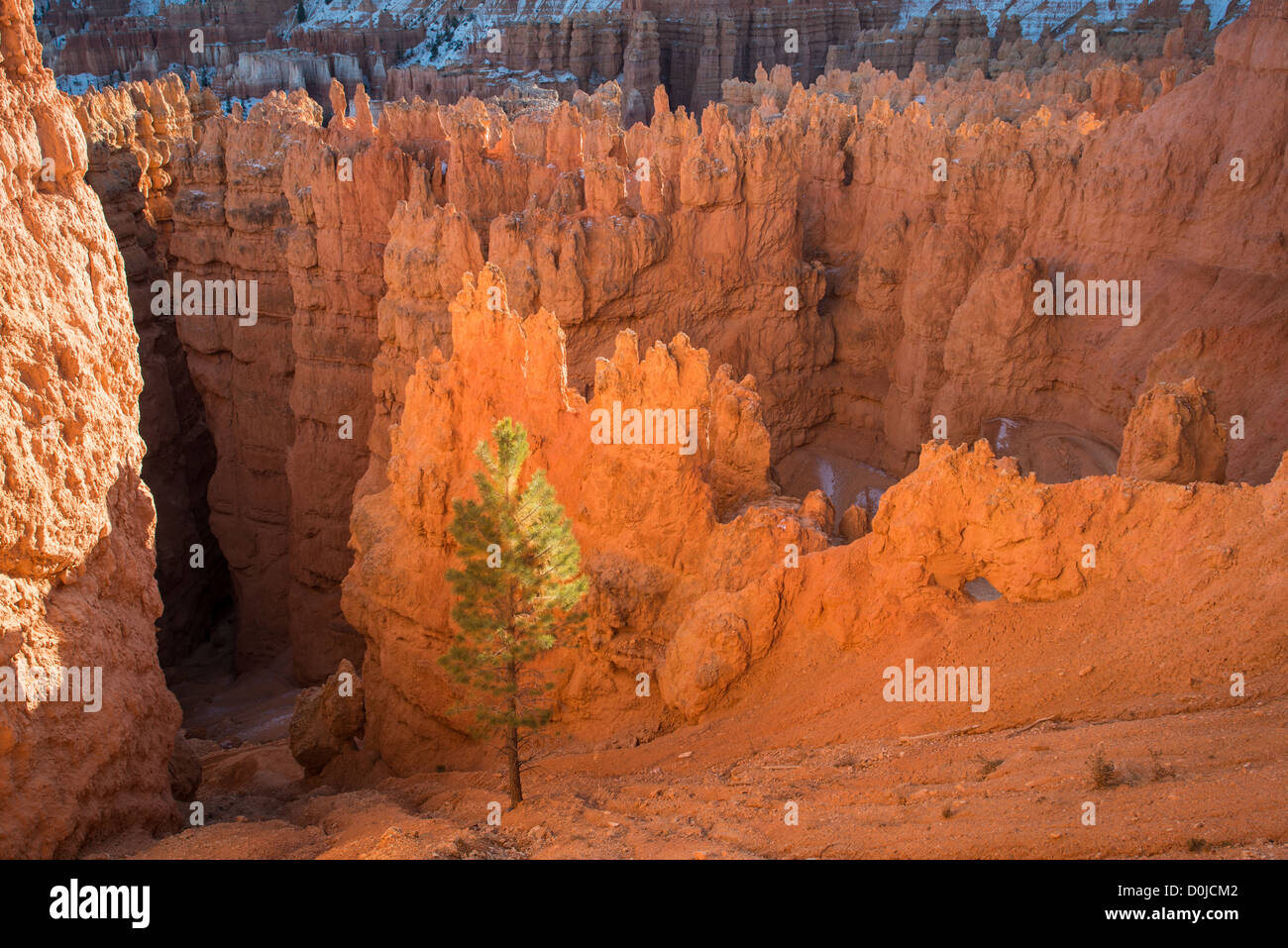 Bryce Canyon Nationalpark Amphiteater Stockfoto