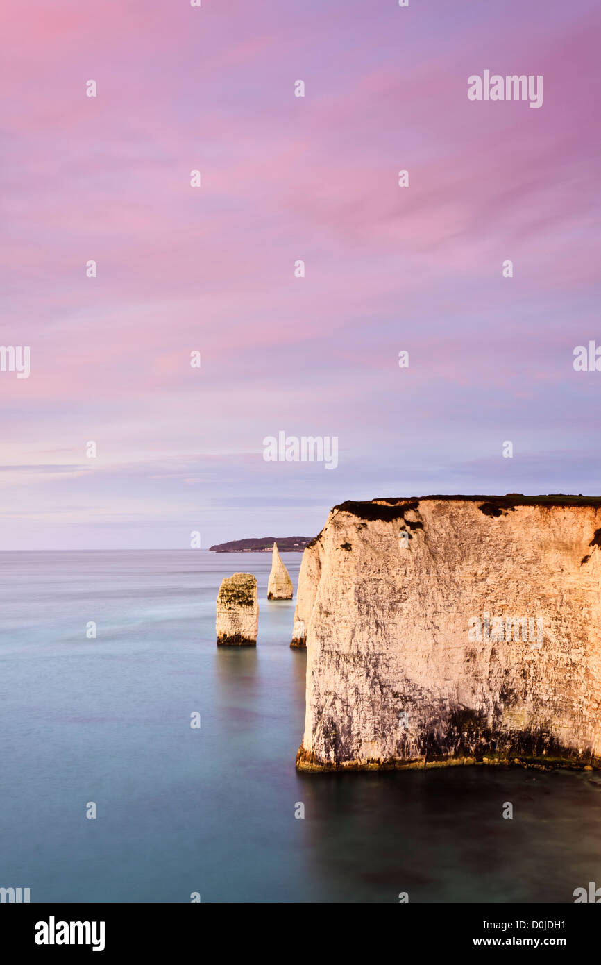 Ein Blick in Richtung The Pinnacles an der Küste von Dorset. Stockfoto