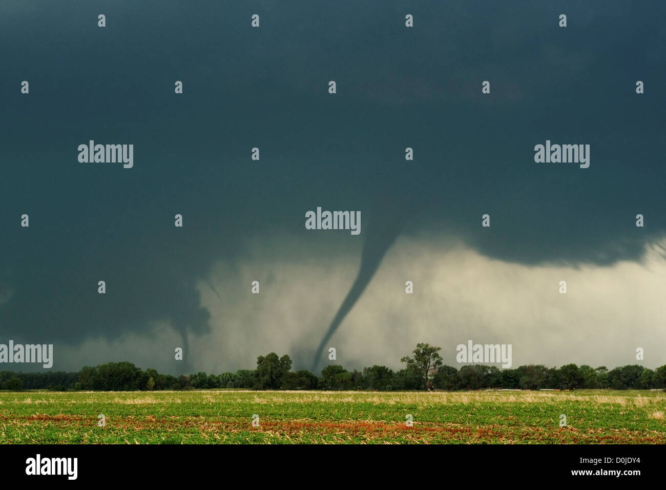Double Trouble Stockfoto
