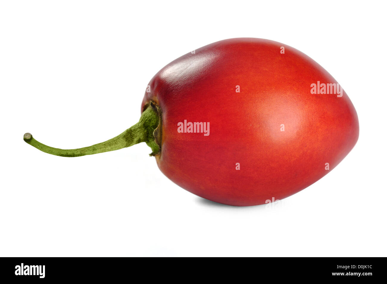 Frische reife Tamarillo isoliert auf weißem Hintergrund Stockfoto