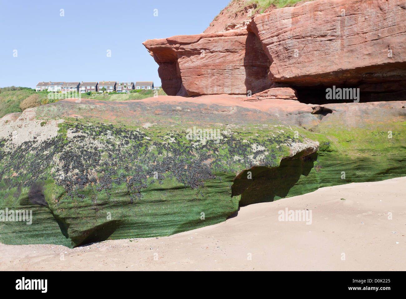 Jurassic Coast an der Unterseite der Orcombe Punkt in der Nähe von Exmouth, Devon, UK. Einige Häuser im Hintergrund Stockfoto