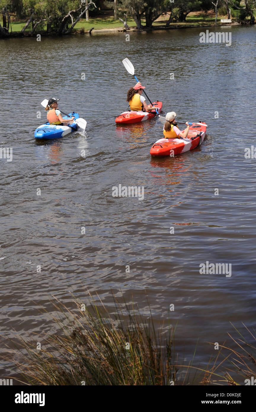 Drei junge Frauen paddeln Kajaks auf dem Swan River, Bassendean, Perth, Western Australia Stockfoto