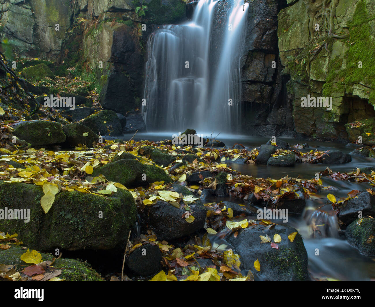 Herbst Blätter bedecken den Boden am Fuße eines Wasserfalls Stockfoto