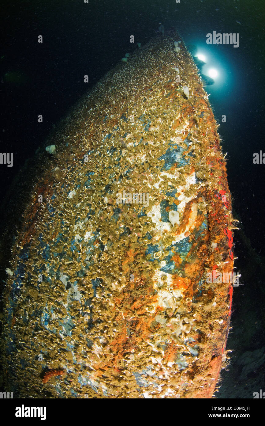 Eine versunkene Schiff in Unterwasserwelt von Dundas-Insel in der Nähe von Prince Rupert im nördlichsten Teil Britisch-Kolumbien Kanada bedeckt. Stockfoto